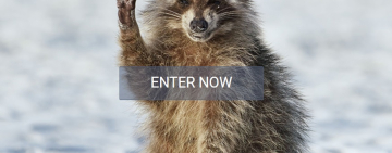 Comedy Wildlife Photography Awards seek entries